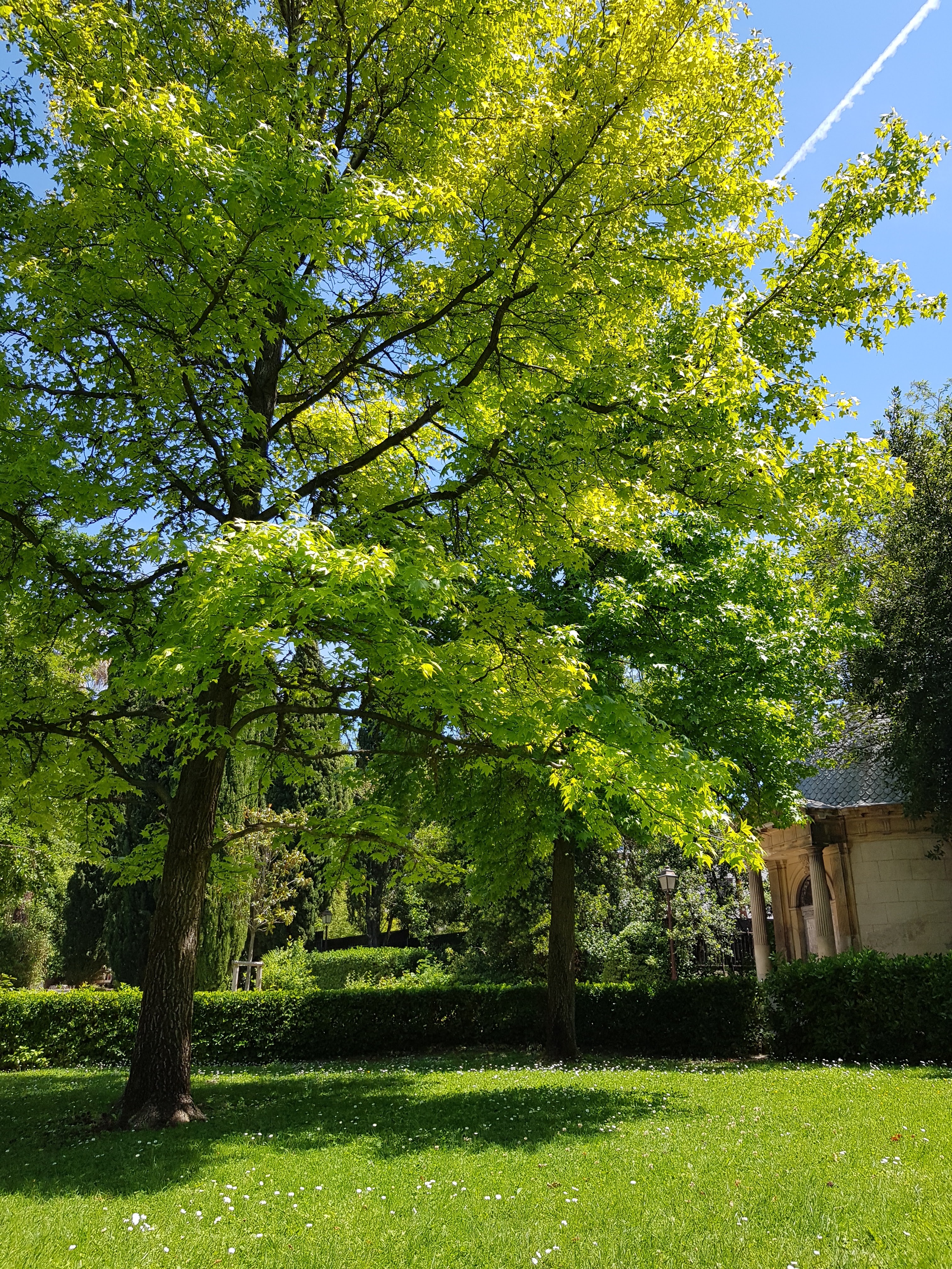 Photo n° 4 de l'avis de Siana.t fait le 24/05/2019 à 18:05