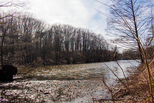 Supermarket «Western Beef Supermarket», reviews and photos, 2040 Forest Ave, Staten Island, NY 10303, USA