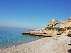 Palasa beach'in fotoğrafı imkanlar alanı
