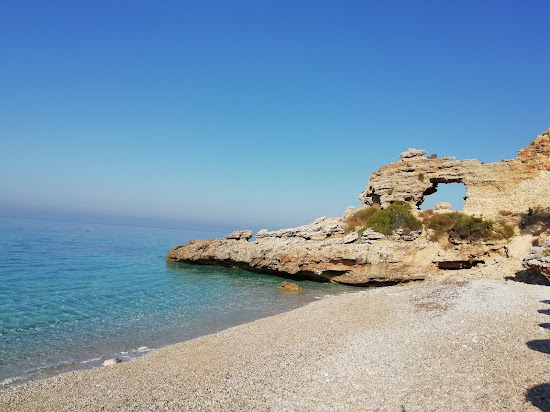 Palasa beach