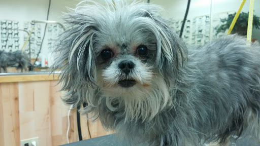 Pet Supply Store «Pet Supplies Plus», reviews and photos, 4751 Hiawatha Ave, Minneapolis, MN 55406, USA