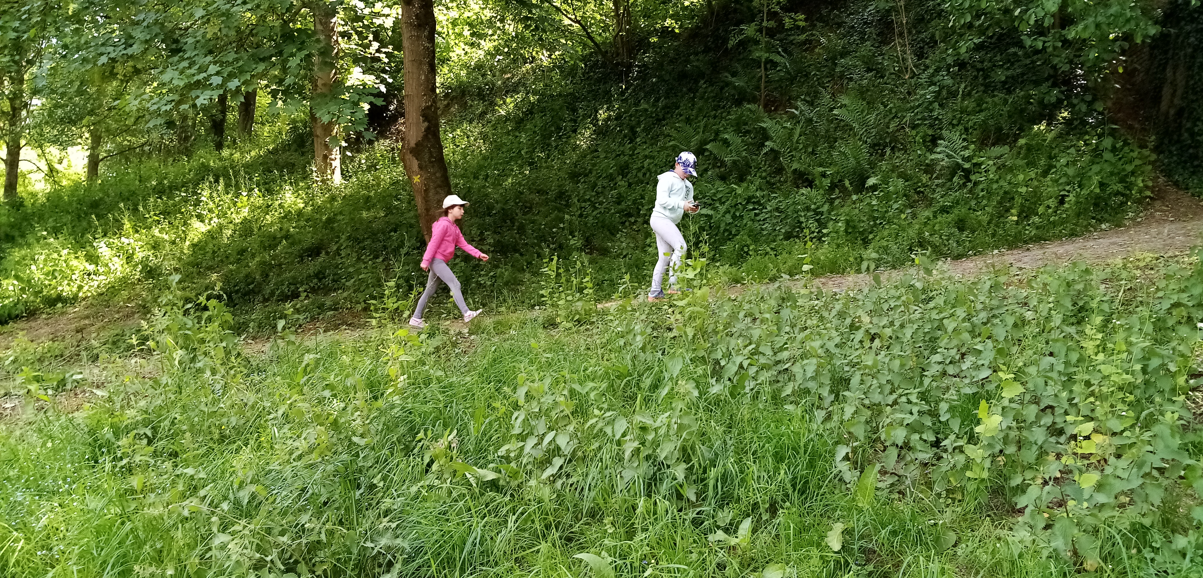 Photo n° 5 de l'avis de Fabrice.u fait le 13/05/2020 à 18:55