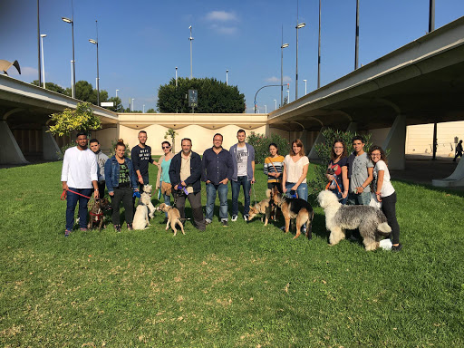 Adiestradores caninos y entrenadores de mascotas en Catarroja de 2024