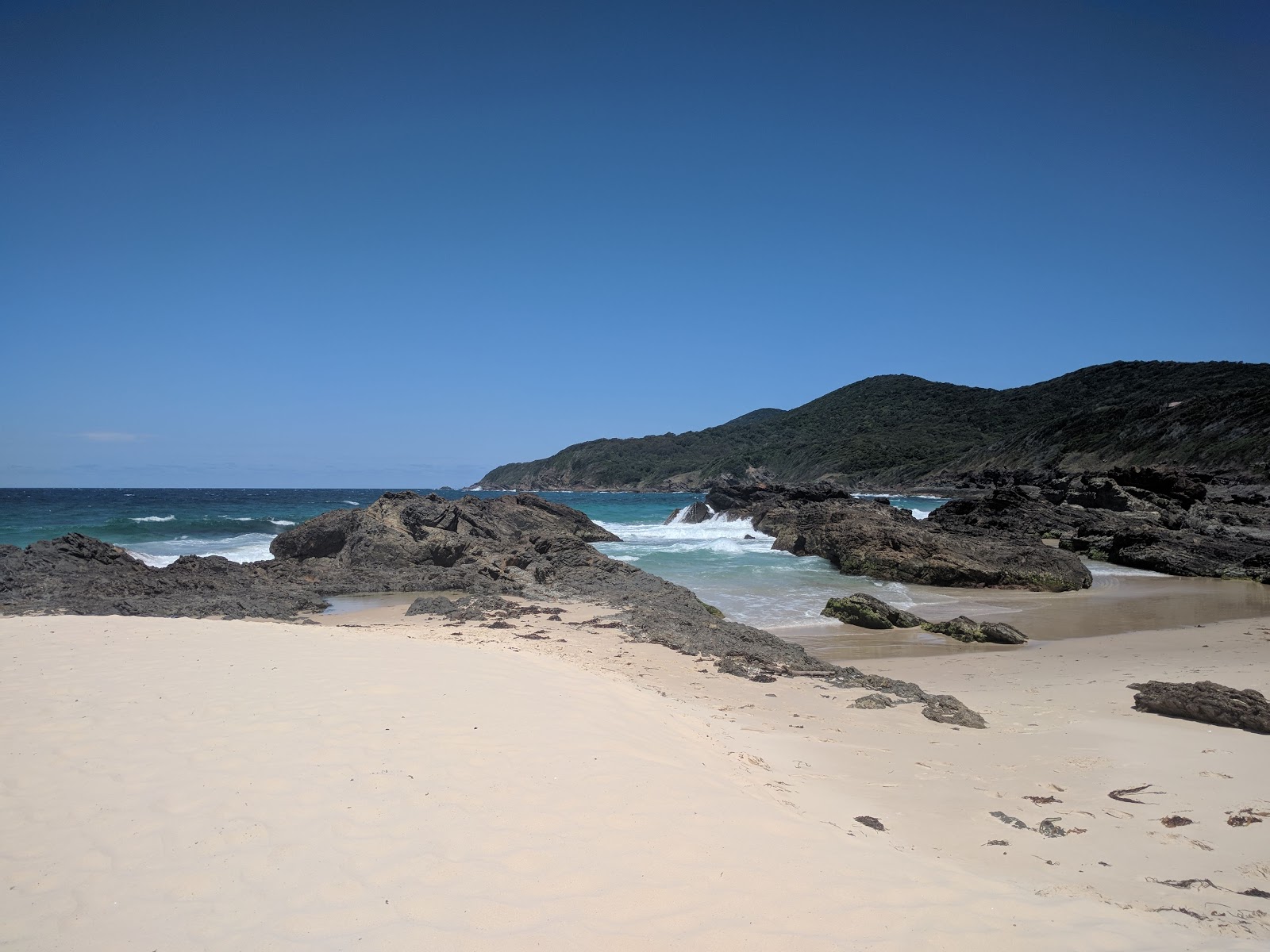 Burgess Beach photo #8