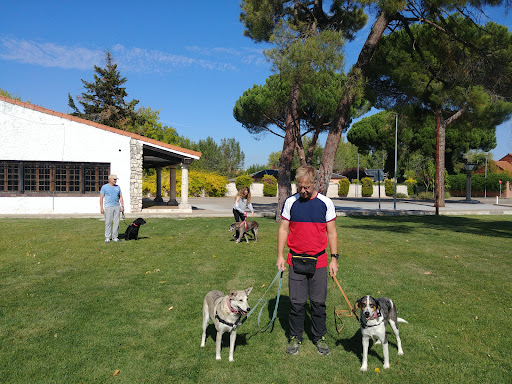 EquipoCan - Cam. Cortijo Campanillas, 7, 29590, Málaga, España