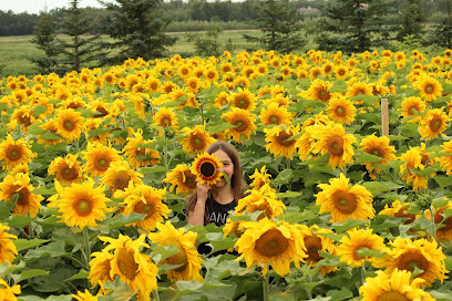 Green Thumb Kids ( Farmstand & Sunflowers)