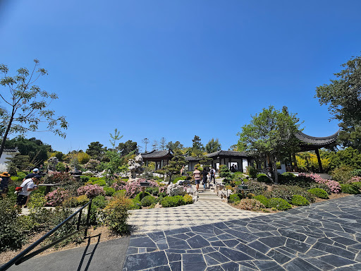 The Huntington Chinese Garden - Garden of Flowing Fragrance image