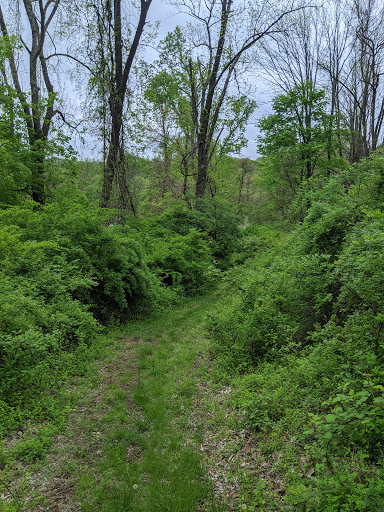 Nature Preserve «Schiff Natural Lands Trust/Schiff Nature Preserve», reviews and photos, 339 Pleasant Valley Rd, Mendham, NJ 07945, USA