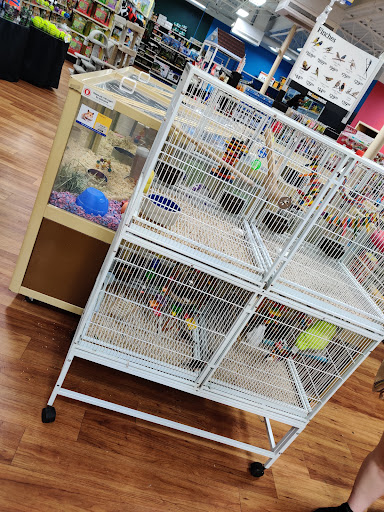 Pet Supply Store «Pet Supermarket», reviews and photos, 3316 Battleground Ave, Greensboro, NC 27410, USA