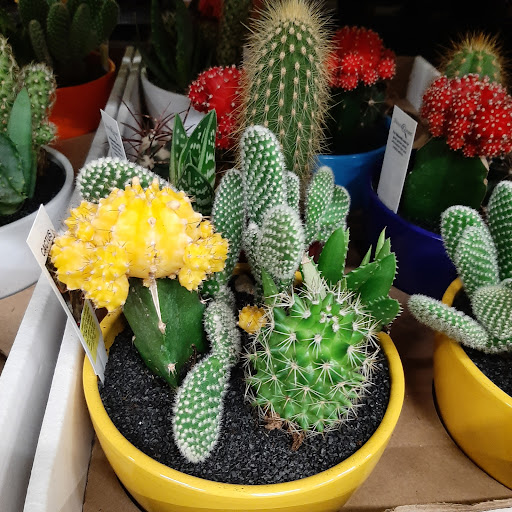 Home Improvement Store «The Home Depot», reviews and photos, 41 Nashua Rd, Londonderry, NH 03053, USA