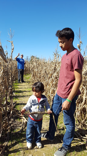 Tourist Attraction «Middleton Farm», reviews and photos, 13250 Cedar Hill Pl, Waldorf, MD 20601, USA