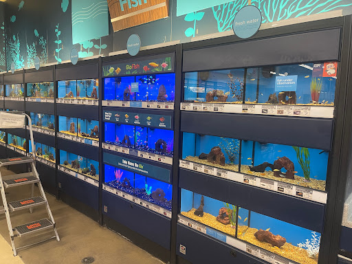 Pet Supply Store «Petco Animal Supplies», reviews and photos, 1150 Concord Ave #160, Concord, CA 94520, USA