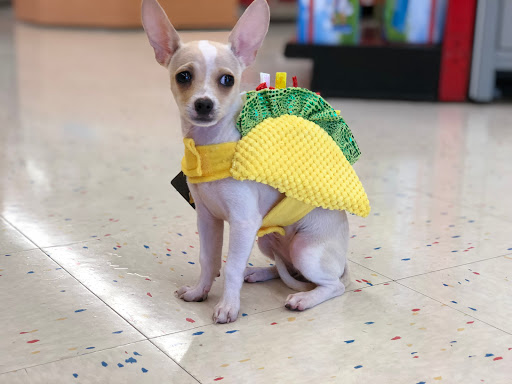 Pet Supply Store «Petco Animal Supplies», reviews and photos, 4616 Millenia Plaza Way, Orlando, FL 32839, USA