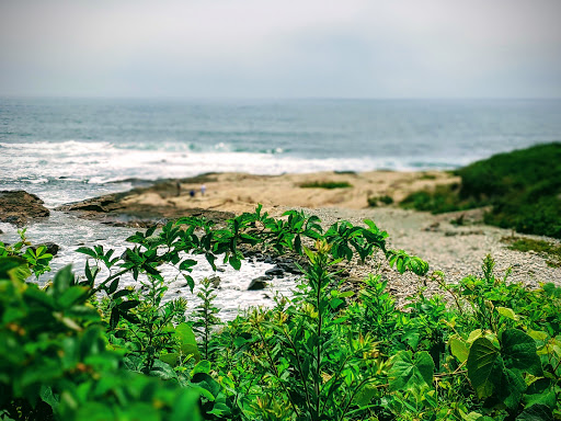 Hiking Area «Black Point Trailhead», reviews and photos, 655 Ocean Rd, Narragansett, RI 02882, USA