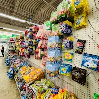 Dollar Tree - Car repair in Myrtle Beach, SC, Myrtle Beach - Rated 4.1/5