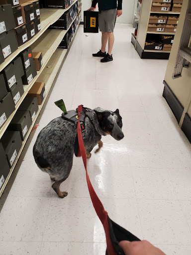 Sporting Goods Store «Academy Sports + Outdoors», reviews and photos, 3305 Dallas Pkwy #301, Plano, TX 75093, USA