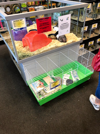 Pet Store «Friendly Pets», reviews and photos, 625 Friendly Center Rd, Greensboro, NC 27408, USA