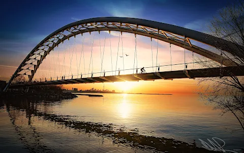 Humber Bay Arch Bridge image