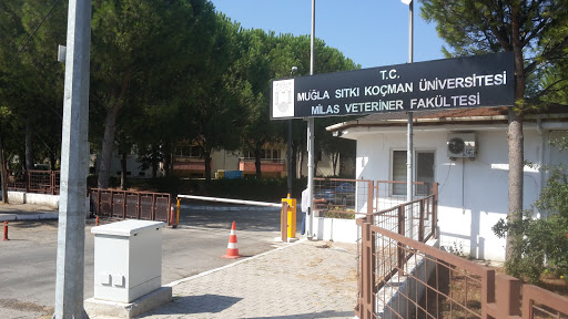 Sıtkı Koçman Veterinerlik Fakültesi