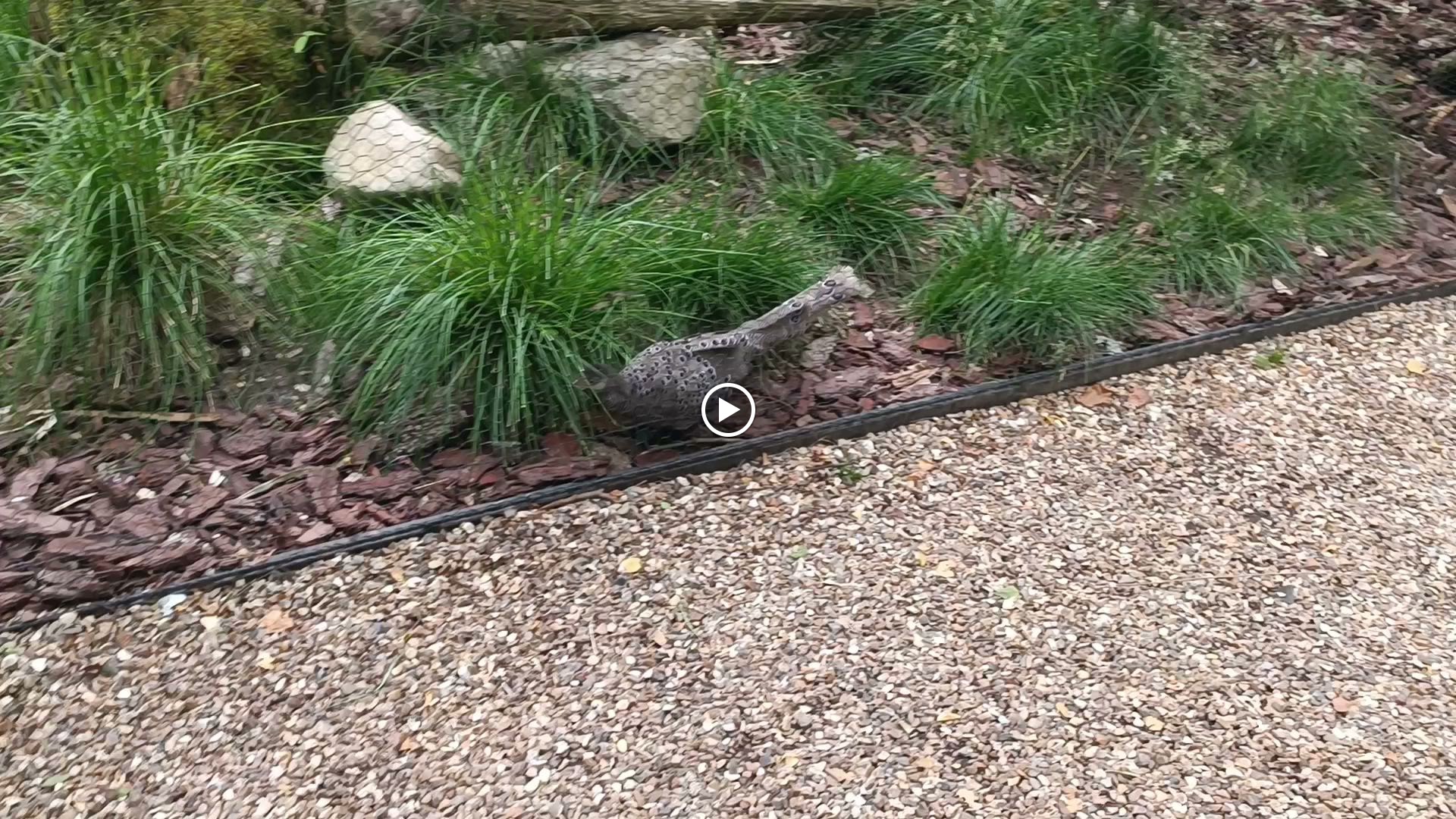 Photo n° 1 de l'avis de Al.l fait le 26/07/2023 à 14:09