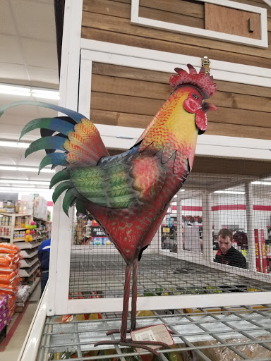 Home Improvement Store «Tractor Supply Co.», reviews and photos, 389 Comfort Dr, Harrison, OH 45030, USA