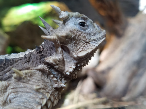 Zoo «Durhams Bear Canyon», reviews and photos, 3701 S 10th St, Omaha, NE 68107, USA