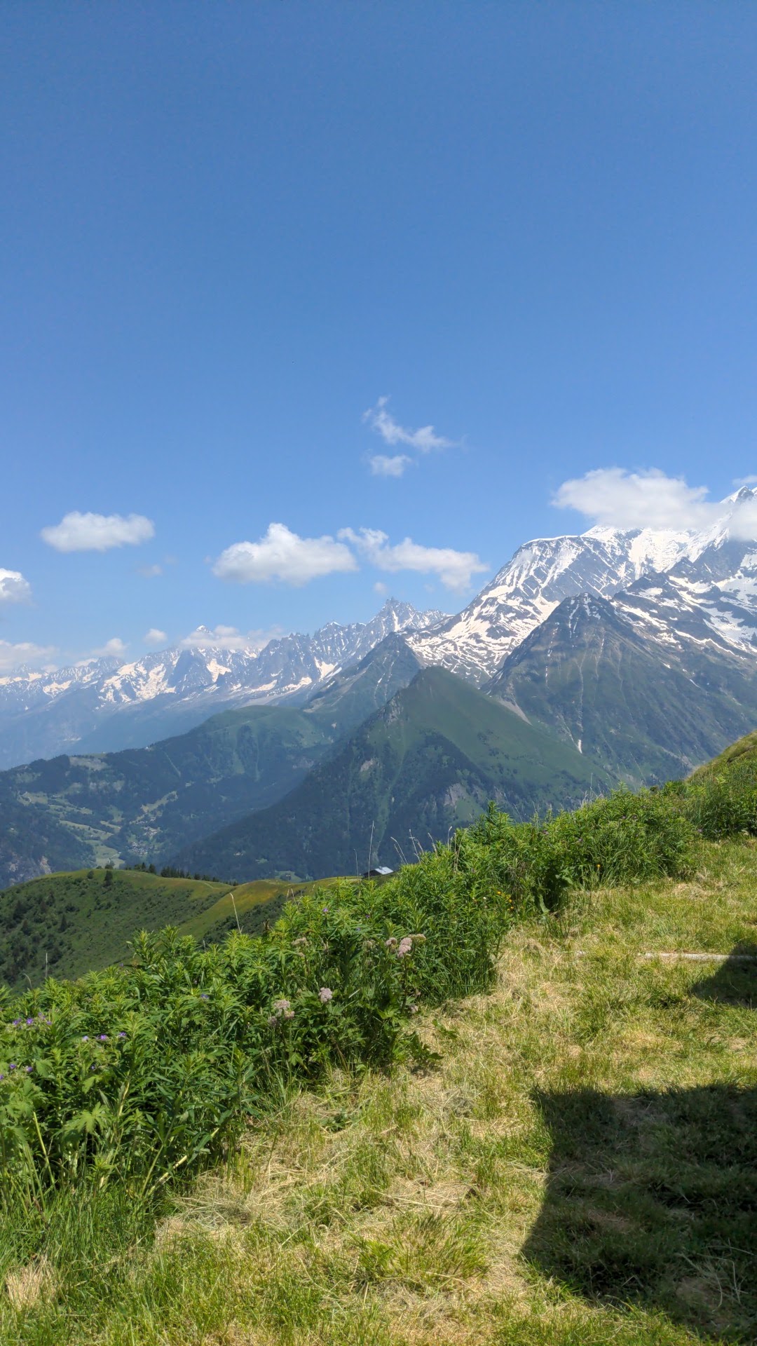 Photo n° 1 de l'avis de Grégoire.e fait le 26/06/2023 à 12:00