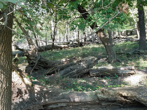 Nature Preserve «Forest Preserves of Cook County», reviews and photos, 9460 S Dee Rd, Park Ridge, IL 60068, USA
