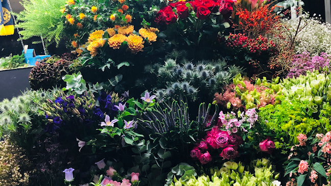 Reviews of Pleroma Flowers in London - Florist