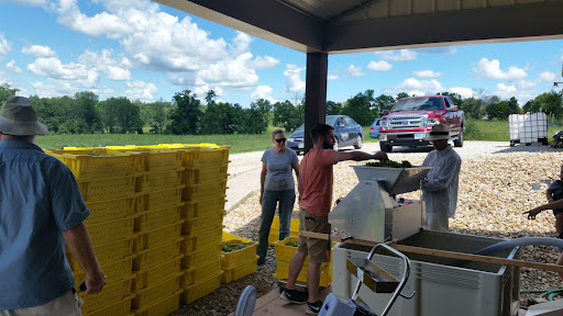 Winery «Rockside Winery and Vineyards», reviews and photos, 2363 Lancaster-Newark Rd NE, Lancaster, OH 43130, USA