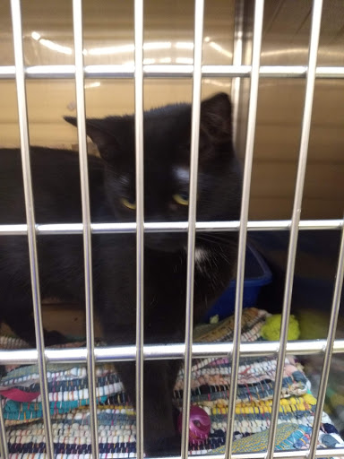 Pet Supply Store «PetSmart», reviews and photos, 8281 Troy Pike, Huber Heights, OH 45424, USA