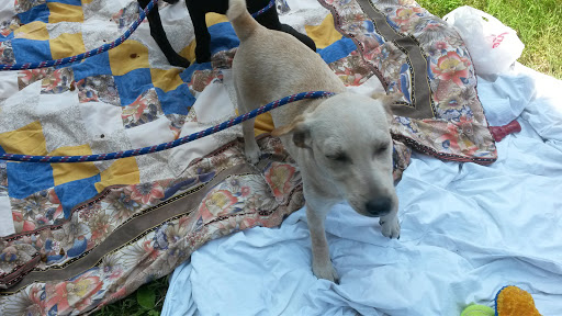 Auto Parts Store «A&A Auto Stores», reviews and photos, 360 N 9th St, Stroudsburg, PA 18360, USA