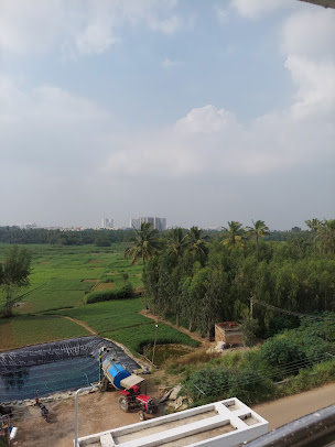 Google Maps image 31