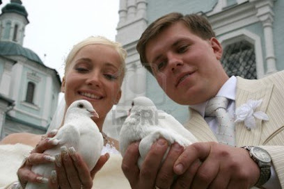 Бели гълъби за сватби и празненства