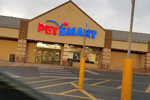 PetSmart image