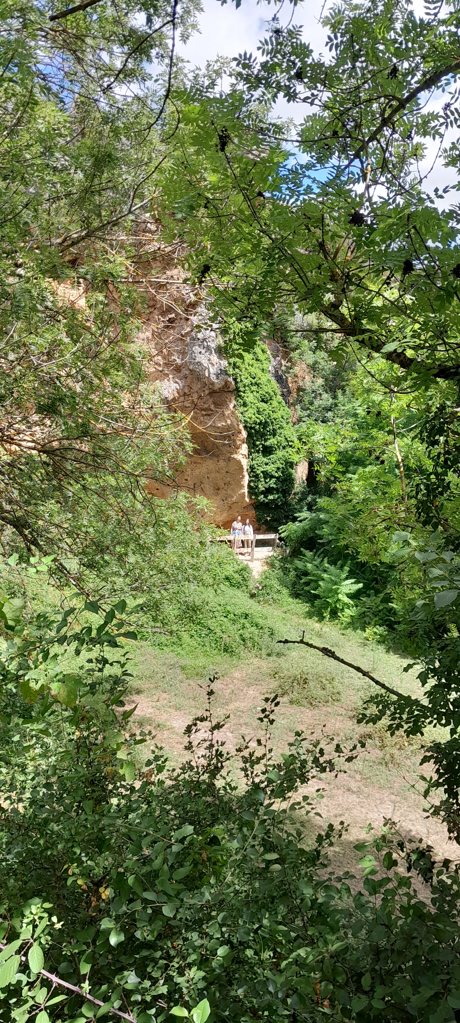 Photo n° 13 de l'avis de Bettus.a fait le 29/07/2023 à 18:57