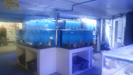 Tropical Fish Store «Aquarium Paradise», reviews and photos, 11724 Pacific Hwy SW, Lakewood, WA 98499, USA