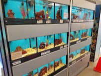 Petco - Photo 7 - Car repair in Vancouver, WA, Portland