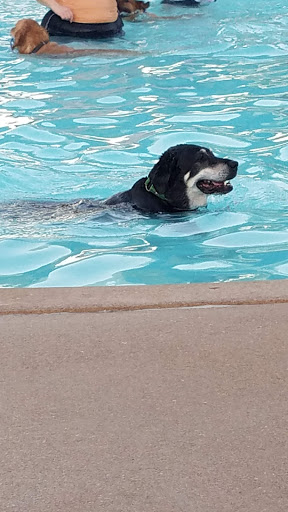 Water Park «Aquaport», reviews and photos, 2344 McKelvey Rd, Maryland Heights, MO 63043, USA