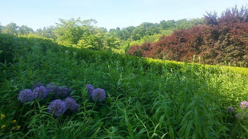 Art Museum «Dumbarton Oaks Museum», reviews and photos, 1703 32nd St NW, Washington, DC 20007, USA