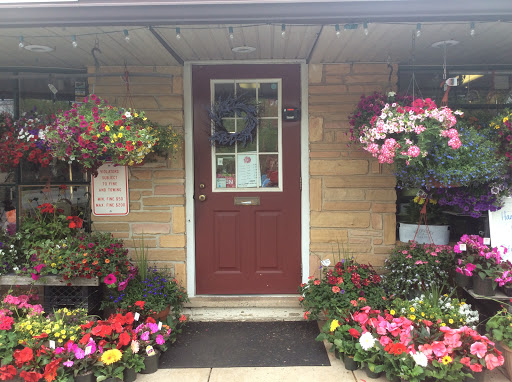 Florist «Moles Flower & Gift Shop», reviews and photos, 3000 Ridge Pike, Norristown, PA 19403, USA