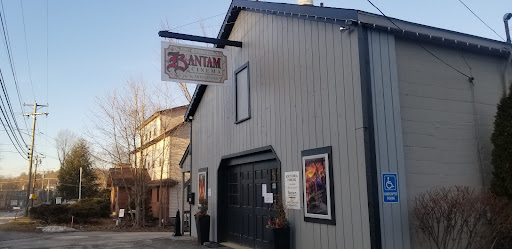 Movie Theater «Bantam Cinema», reviews and photos, 115 Bantam Lake Rd, Bantam, CT 06750, USA