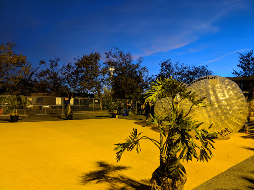 Event Venue «Shoreline Amphitheatre», reviews and photos, 1 Amphitheatre Pkwy, Mountain View, CA 94043, USA