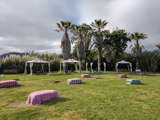 Tourist Attraction «Old Faithful Geyser of California», reviews and photos, 1299 Tubbs Ln, Calistoga, CA 94515, USA