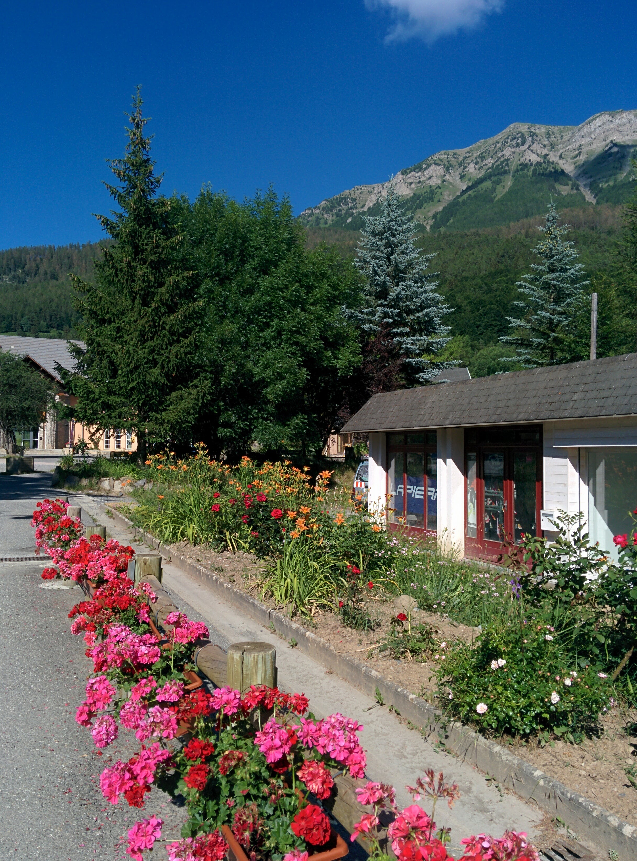 Photo n° 1 de l'avis de Bridgid. fait le 08/09/2017 à 08:10
