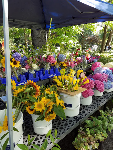 Produce Market «Douglass Loop Farmers Market», reviews and photos, 2005 Douglass Blvd, Louisville, KY 40205, USA