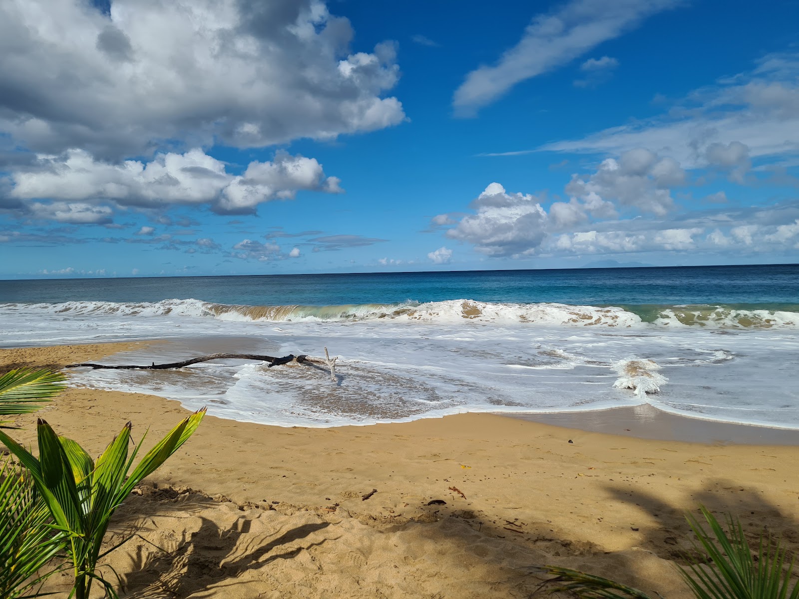 Plage de la Perle photo #9
