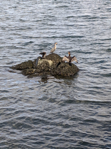 State Park «Fall River Heritage State Park», reviews and photos, Davol St, Fall River, MA 02720, USA