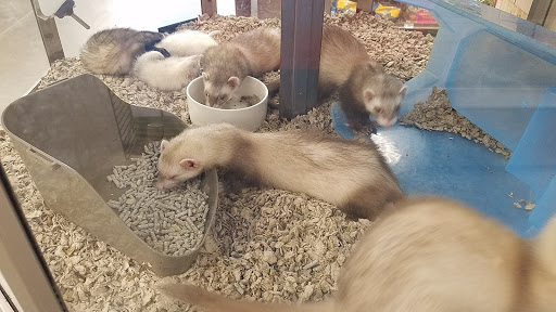 Pet Supply Store «Petco Animal Supplies», reviews and photos, 839 New York Ave, Huntington, NY 11743, USA