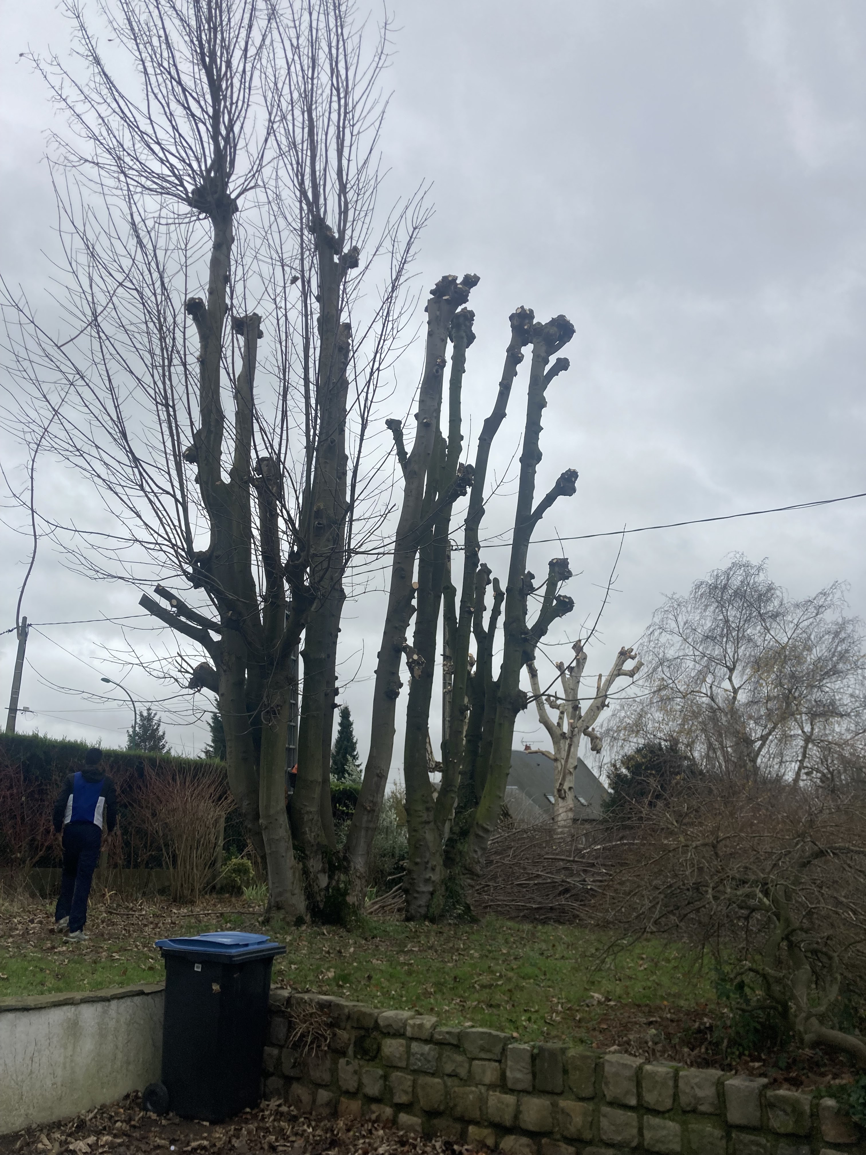 Photo n° 3 de l'avis de Simon.u fait le 21/12/2023 à 16:57